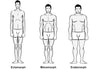 What's Your Body Type - Ectomorph, Mesomorph or Endomorph?